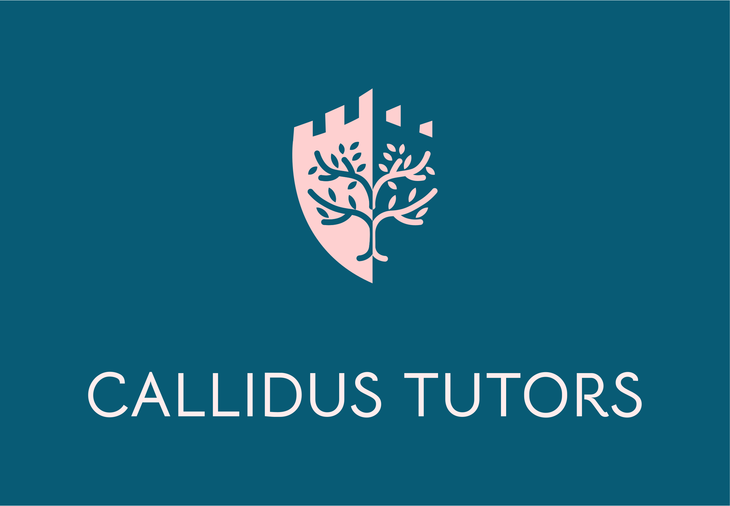 Callidus Tutors